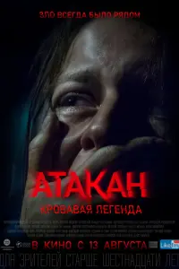 Ксения Плюснина, Владимир Кузнецов, Денис