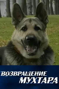 Алла Ковнир, Виктор Низовой, Александр Носик,